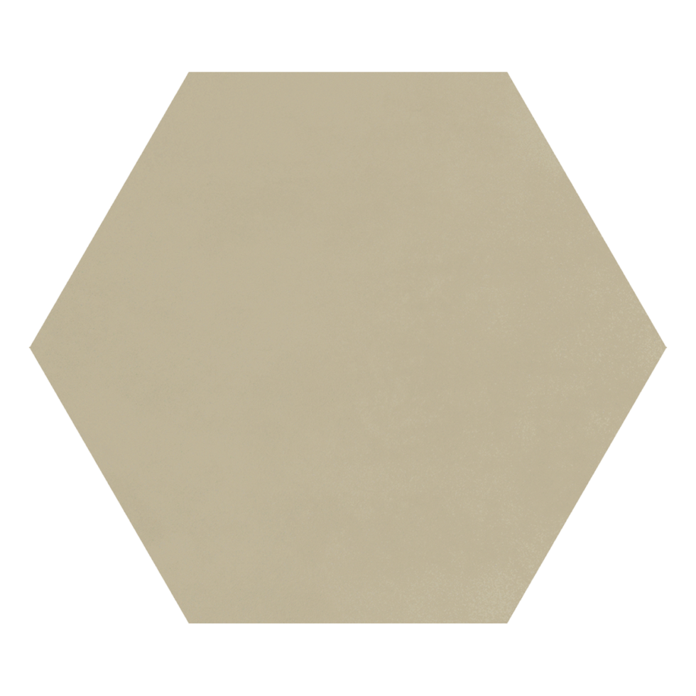 Lungarno Carrollton Hex 9" x 10" Porcelain Tile