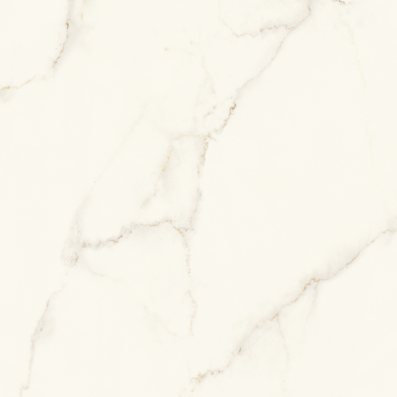 QDI Surfaces Calacatta 48" x 48" Porcelain Tile
