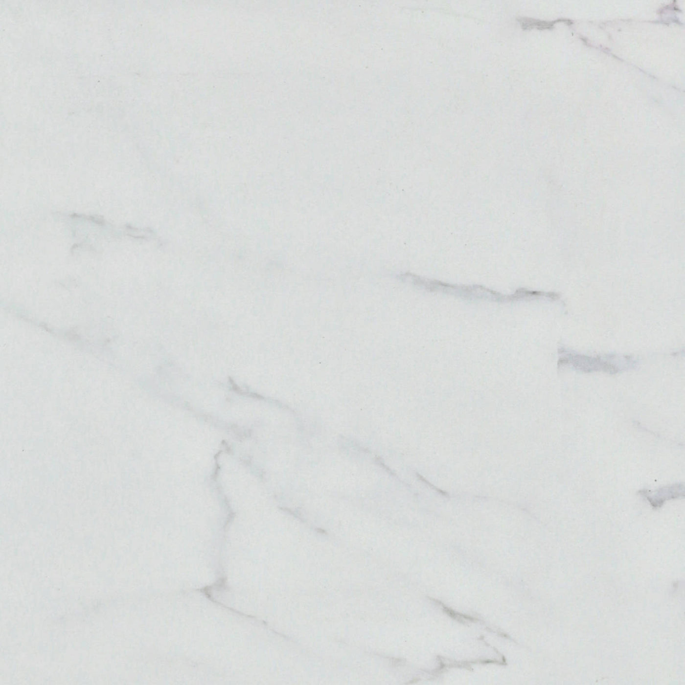 Alfagres Carrara 24" x 24" Ceramic Tile