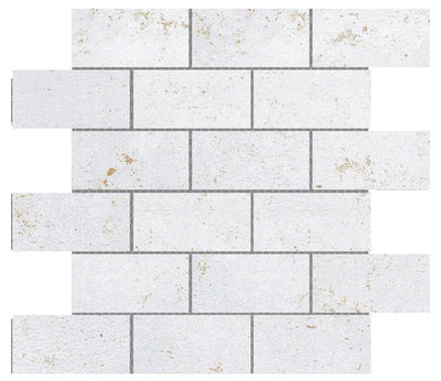 Emser Cogent 2 x 4 12" x 12" Porcelain Mosaic