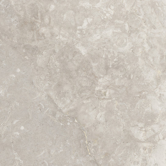 Emser Culver 20" x 20" Porcelain Tile