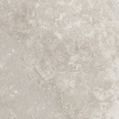 Emser Culver 20" x 20" Porcelain Tile