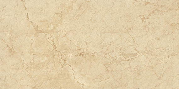 Daltile Florentine 12" x 24" Porcelain Tile