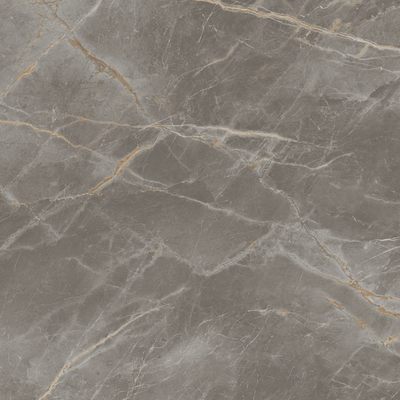 QDI Surfaces Fior Di Bosco 48" x 48" Porcelain Tile