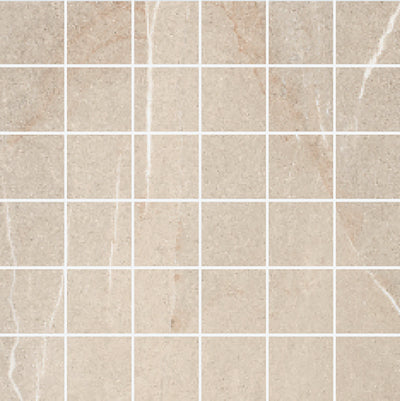 QDI Surfaces Forum 2 x 2 12" x 12" Porcelain Mosaic