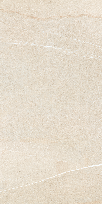 QDI Surfaces Forum 24" x 48" Porcelain Tile