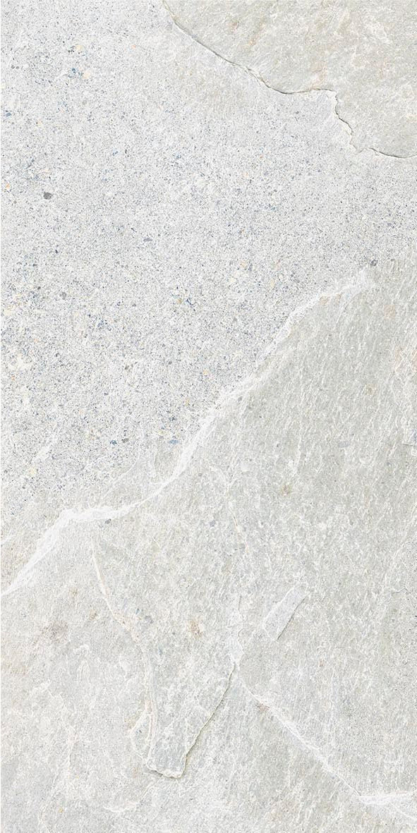 QDI Surfaces Genesis 12" x 24" Porcelain Tile