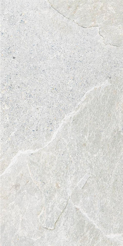 QDI Surfaces Genesis 12" x 24" Porcelain Tile