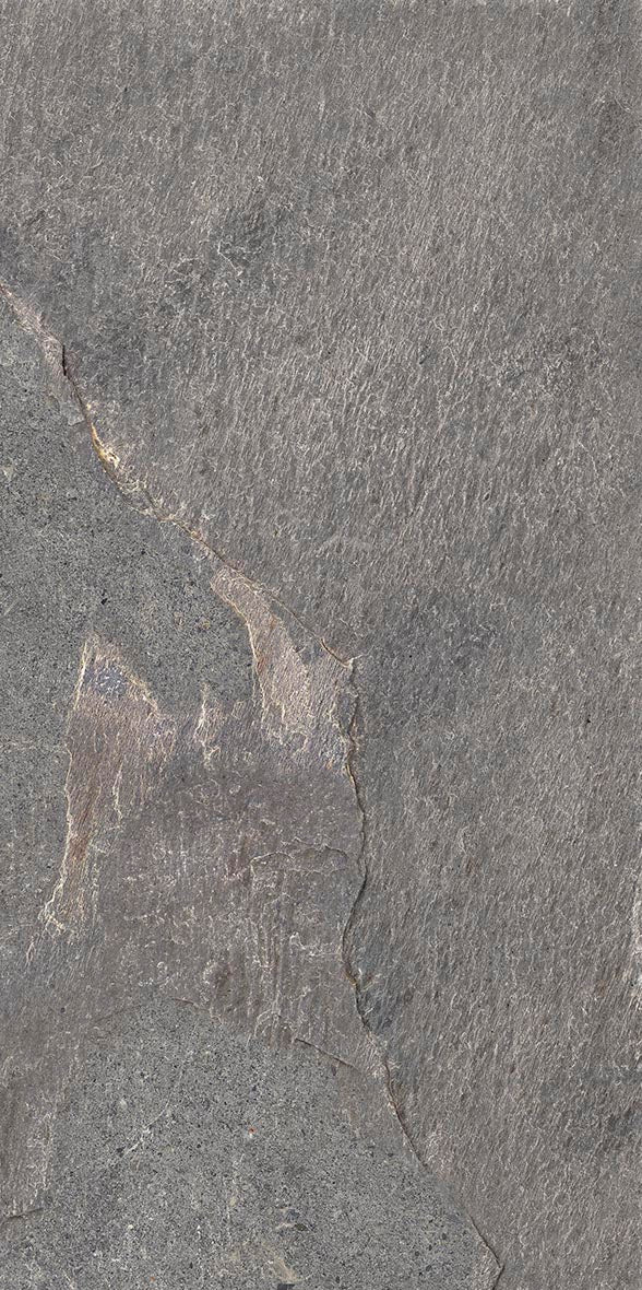 QDI Surfaces Genesis 12" x 24" Porcelain Tile
