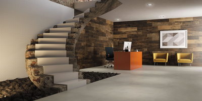 QDI Surfaces Simply 13" x 24" Ceramic Tile