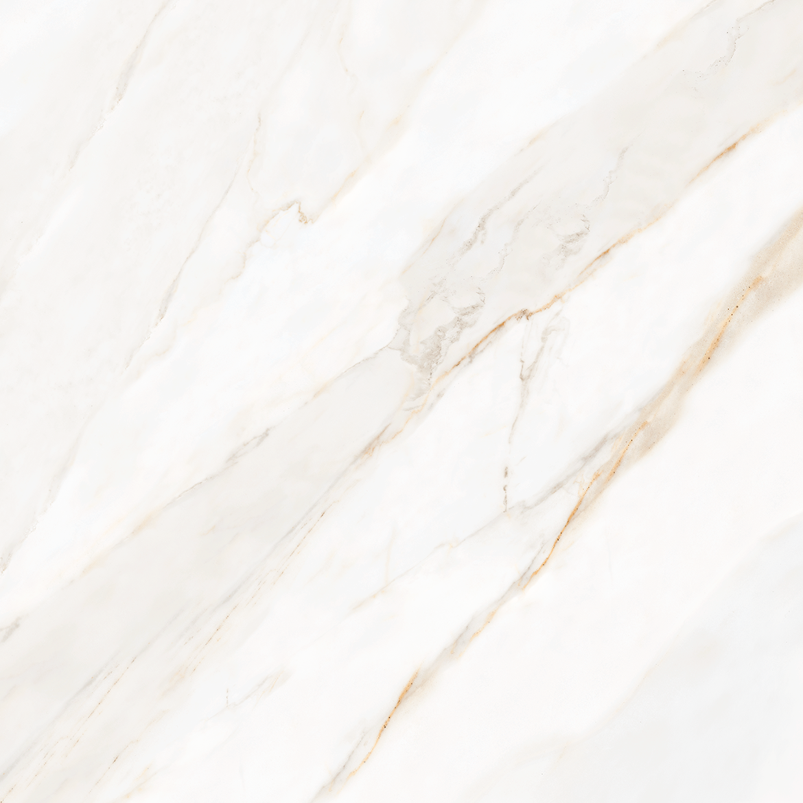 Tesoro Icaro 28" x 28" Porcelain Tile