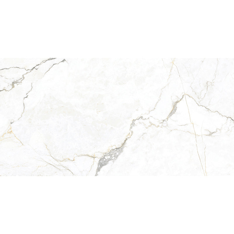 MIR Mosaic Imperial 9.7MM 24" x 48" Porcelain Tile