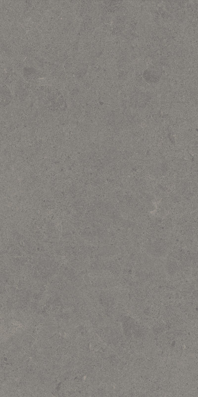 Crossville Argent 2.0 12" x 24" Porcelain Tile