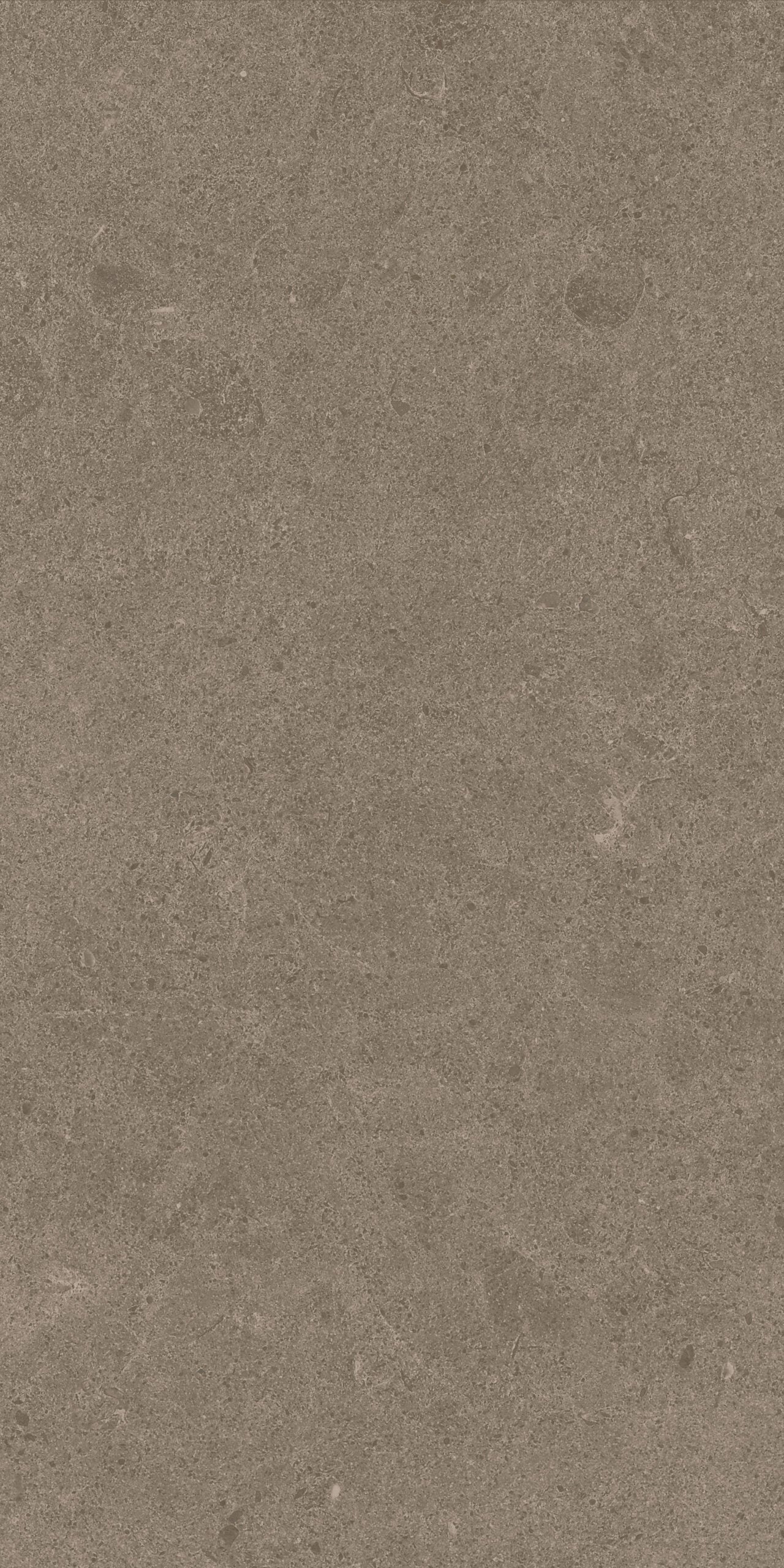 Crossville Argent 2.0 12" x 24" Porcelain Tile