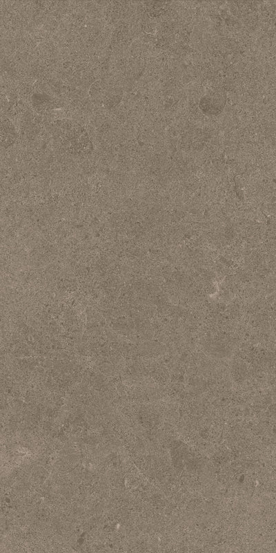 Crossville Argent 2.0 12" x 24" Porcelain Tile