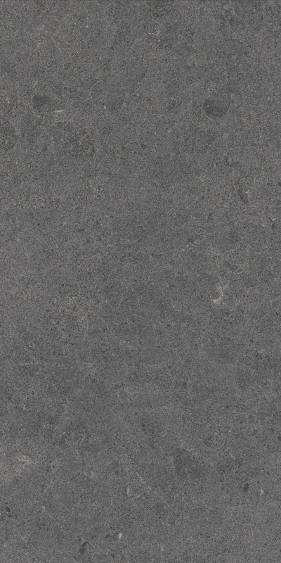 Crossville Argent 2.0 12" x 24" Porcelain Tile