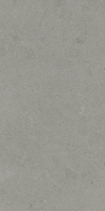 Crossville Argent 2.0 12" x 24" Porcelain Tile