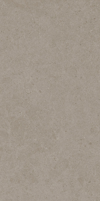 Crossville Argent 2.0 12" x 24" Porcelain Tile