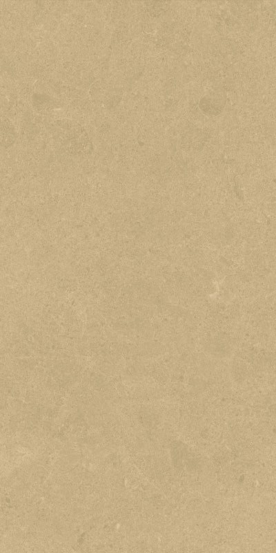 Crossville Argent 2.0 12" x 24" Porcelain Tile