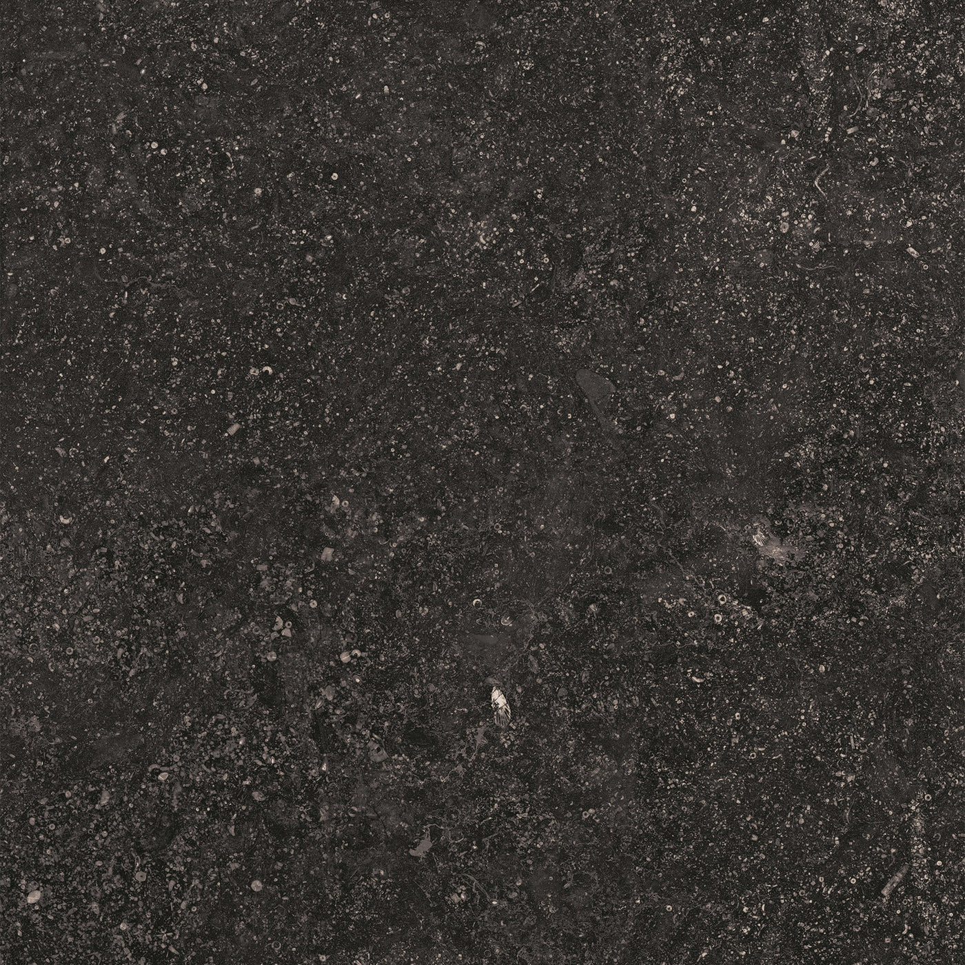 Crossville Beljn 24" x 24" Porcelain Tile