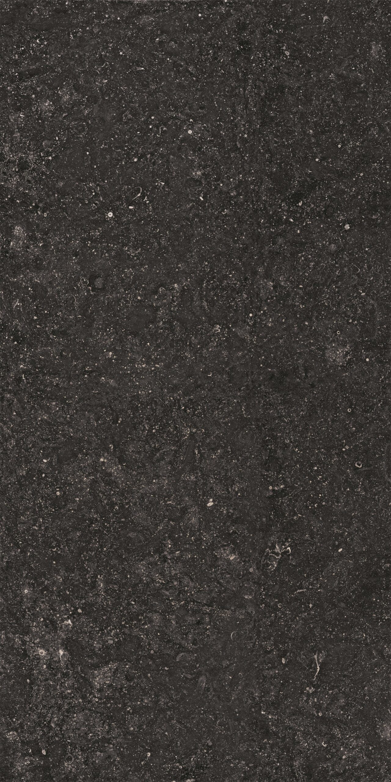 Crossville Beljn Exterior 24" x 48" Porcelain Tile