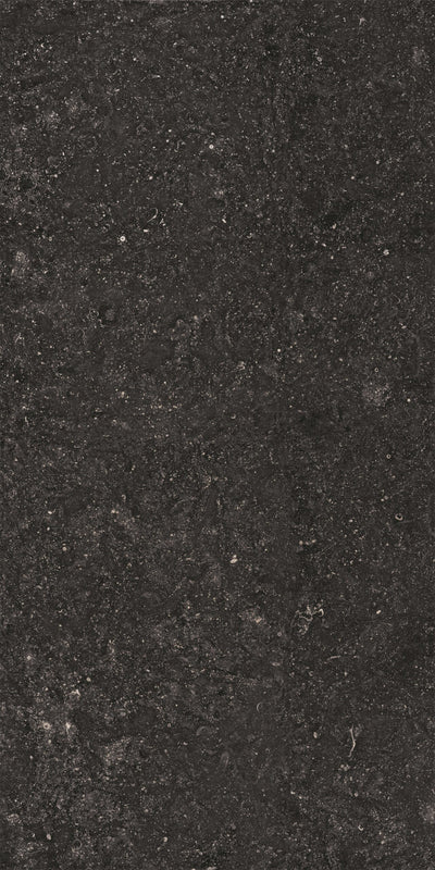 Crossville Beljn Exterior 24" x 48" Porcelain Tile