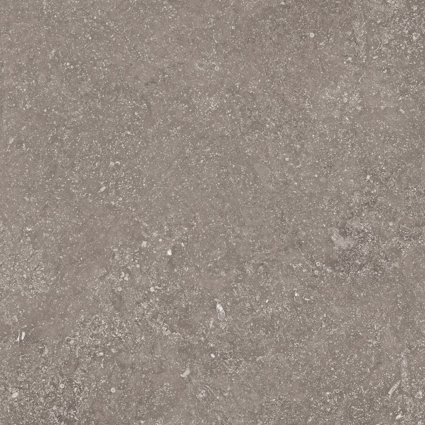 Crossville Beljn 24" x 24" Porcelain Tile