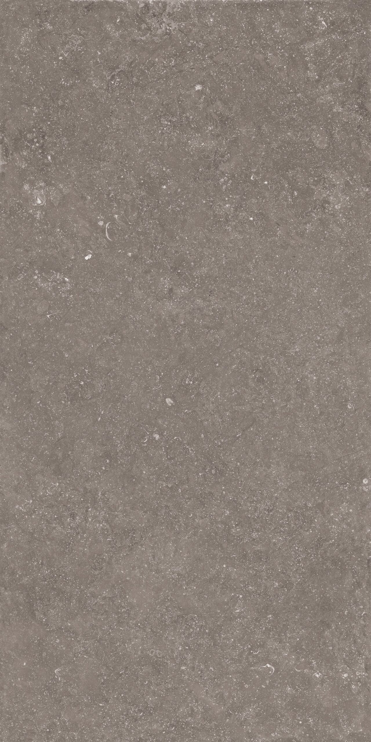 Crossville Beljn 24" x 48" Porcelain Tile