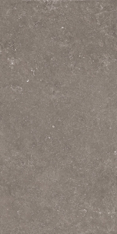 Crossville Beljn 24" x 48" Porcelain Tile