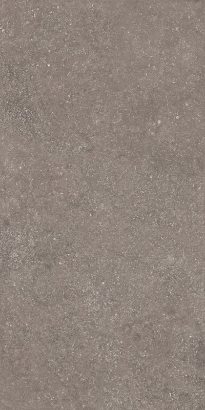 Crossville Beljn Exterior 24" x 48" Porcelain Tile