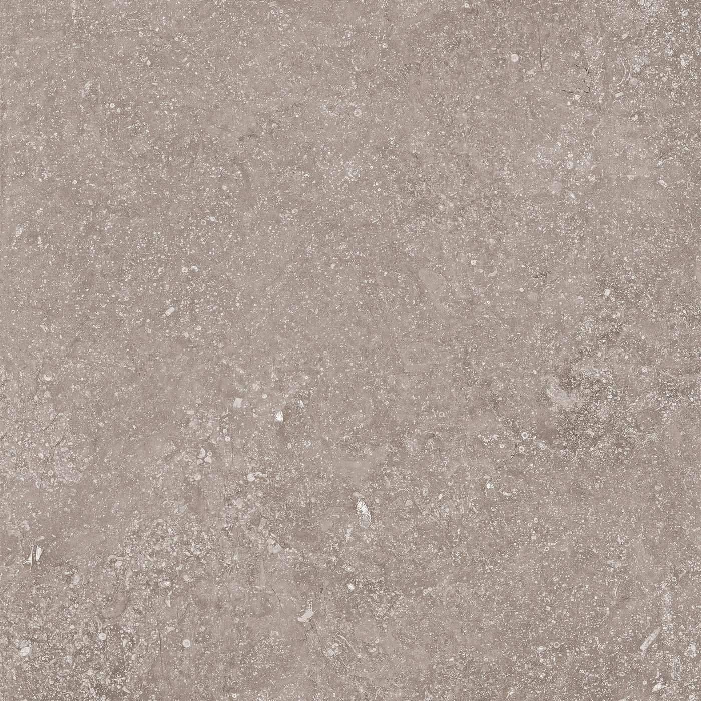 Crossville Beljn 24" x 24" Porcelain Tile