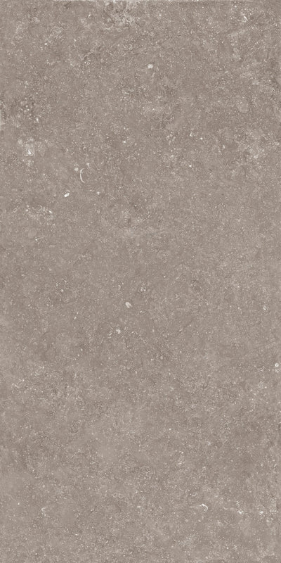 Crossville Beljn 24" x 48" Porcelain Tile