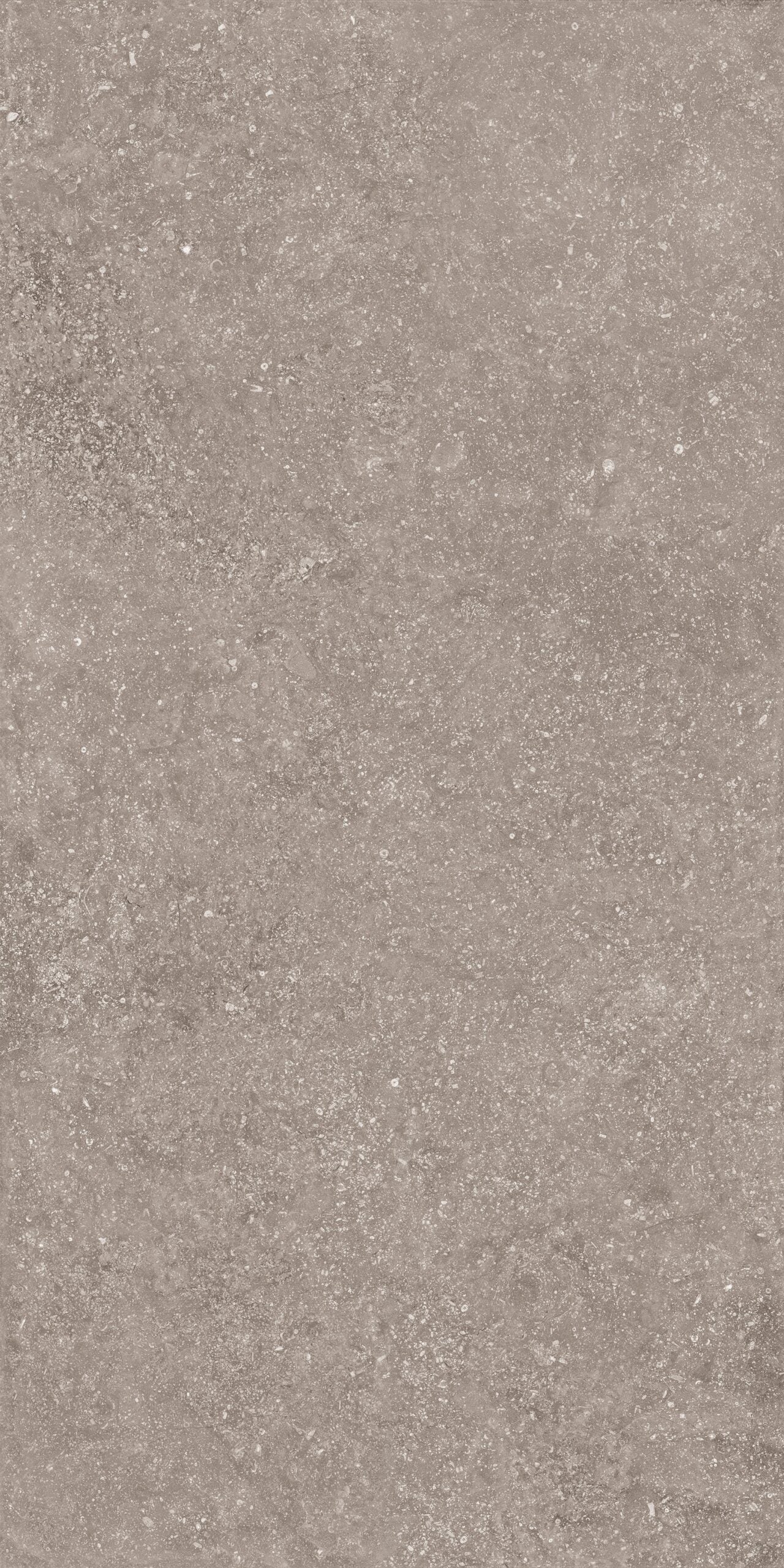 Crossville Beljn Exterior 24" x 48" Porcelain Tile