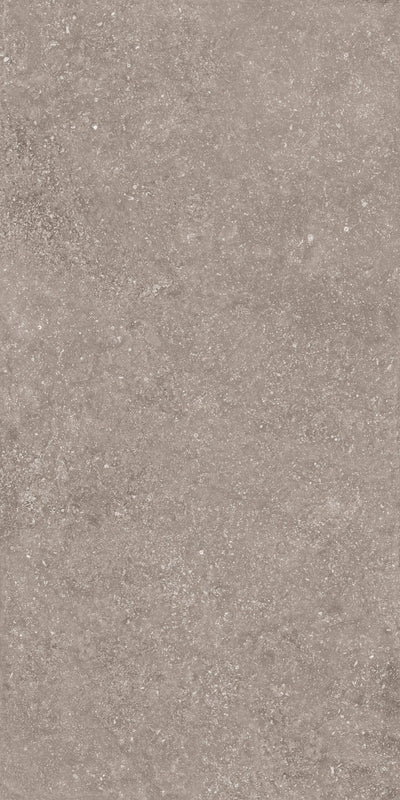 Crossville Beljn Exterior 24" x 48" Porcelain Tile