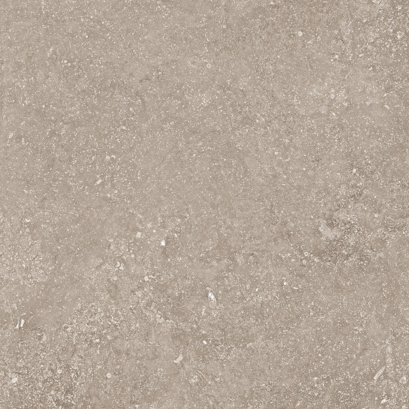 Crossville Beljn 24" x 24" Porcelain Tile