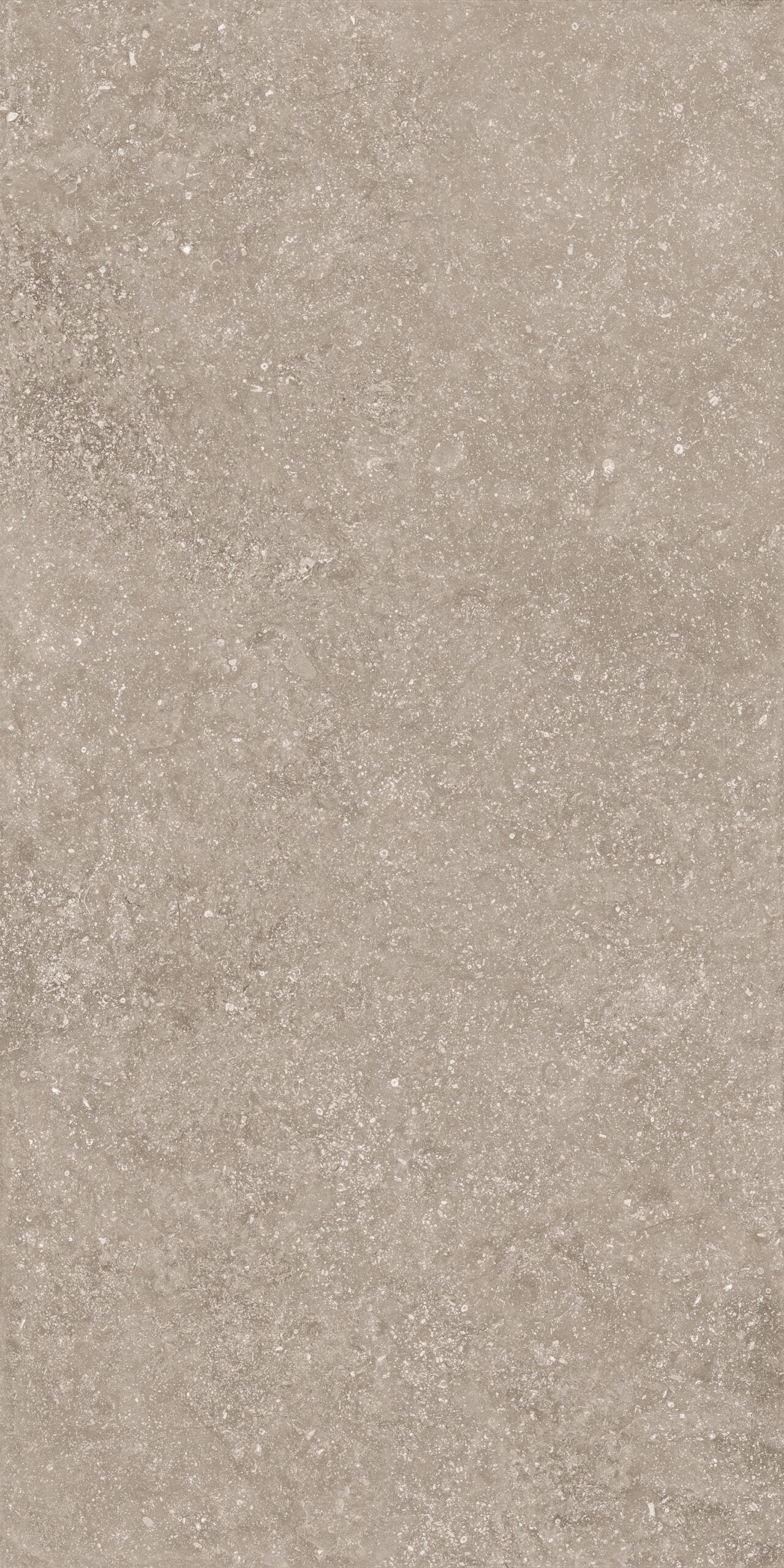 Crossville Beljn Exterior 24" x 48" Porcelain Tile