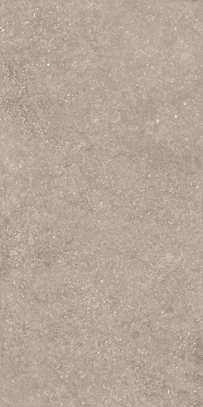 Crossville Beljn Exterior 24" x 48" Porcelain Tile