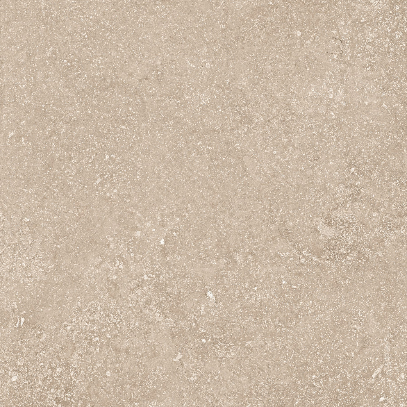 Crossville Beljn 24" x 24" Porcelain Tile