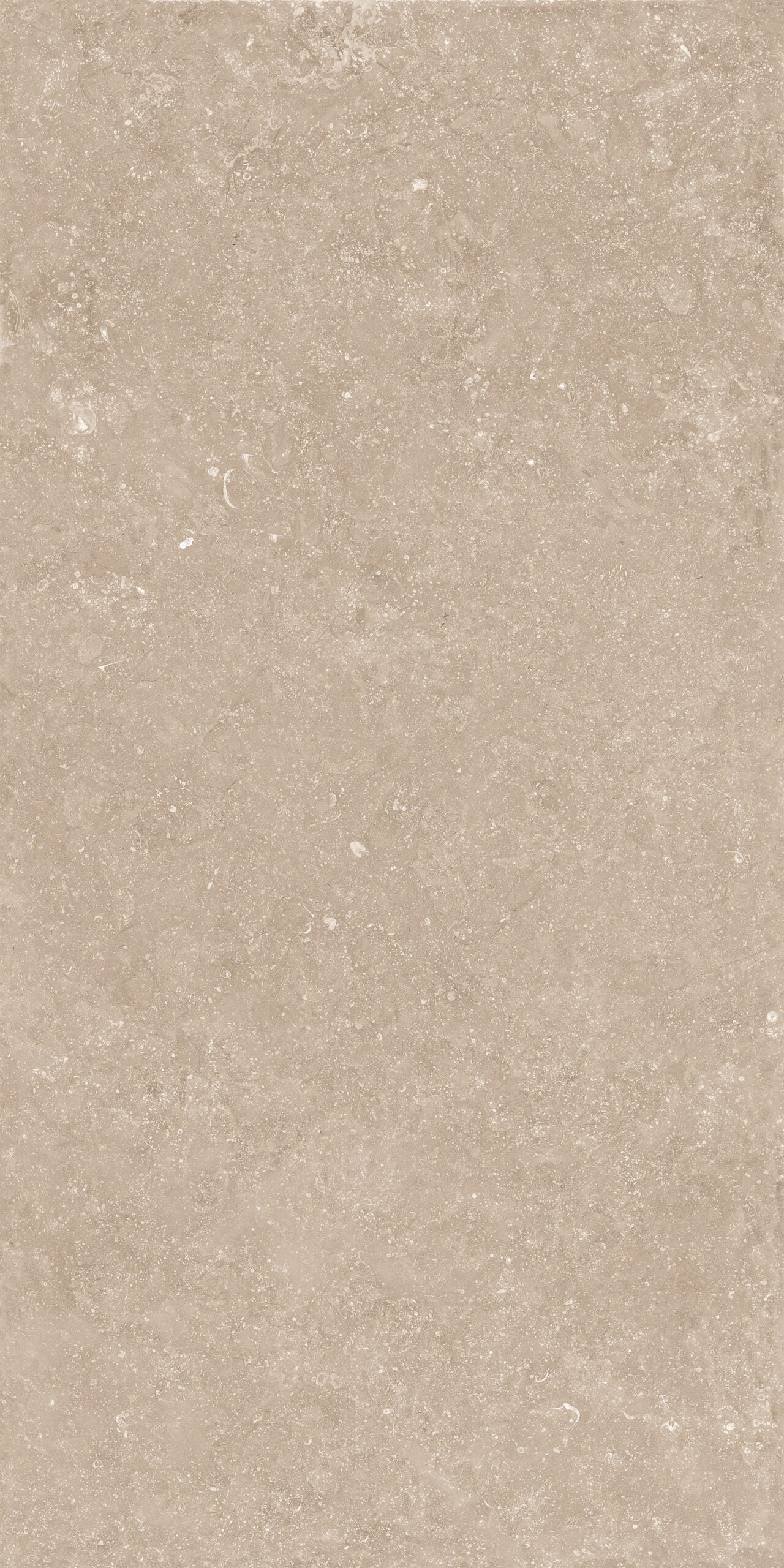 Crossville Beljn 24" x 48" Porcelain Tile