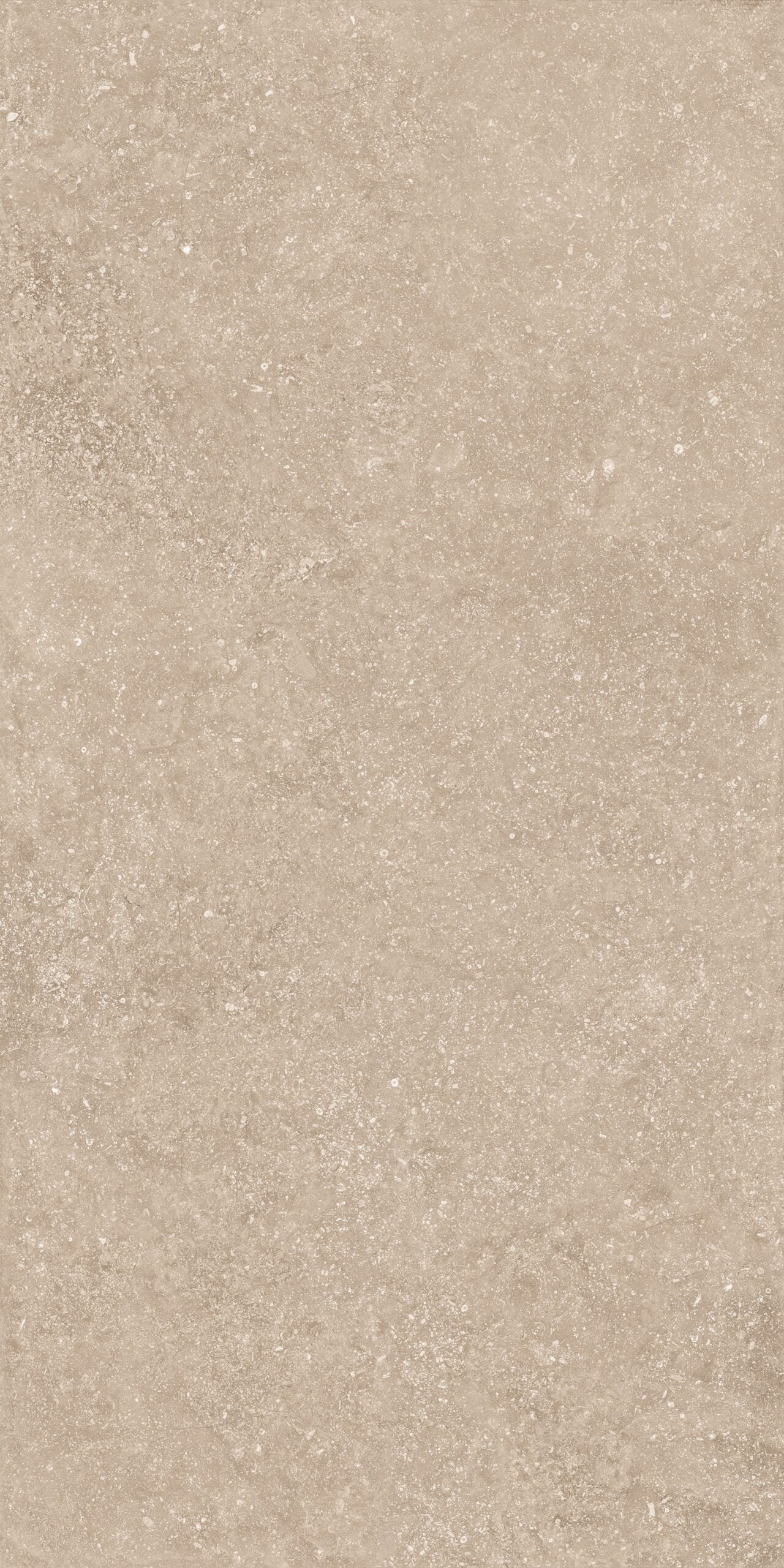 Crossville Beljn Exterior 24" x 48" Porcelain Tile