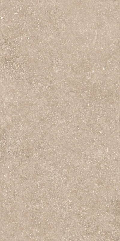 Crossville Beljn Exterior 24" x 48" Porcelain Tile