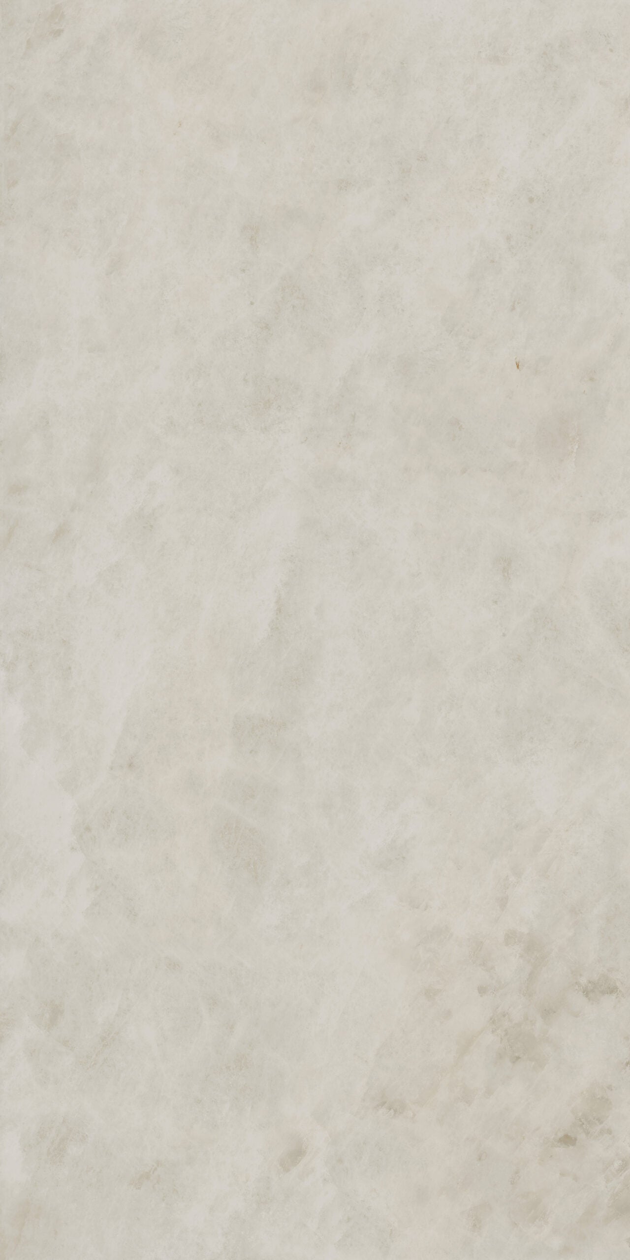 Crossville Sociale 24" x 48" Porcelain Tile