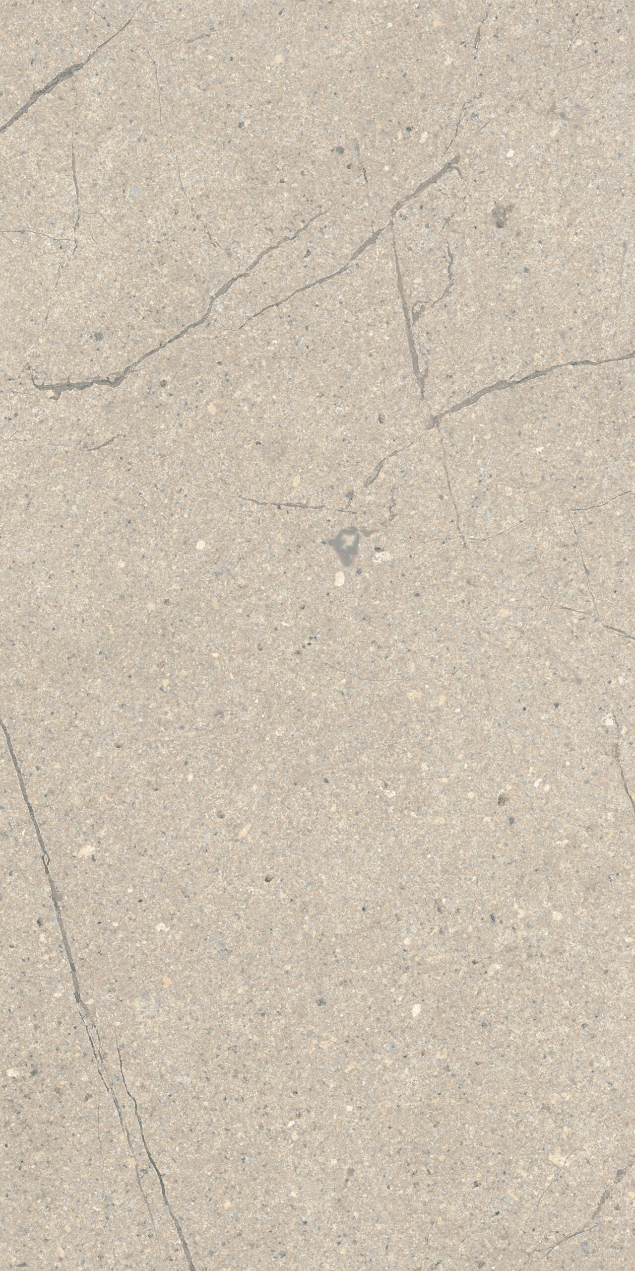Crossville Sociale 12" x 24" Porcelain Tile
