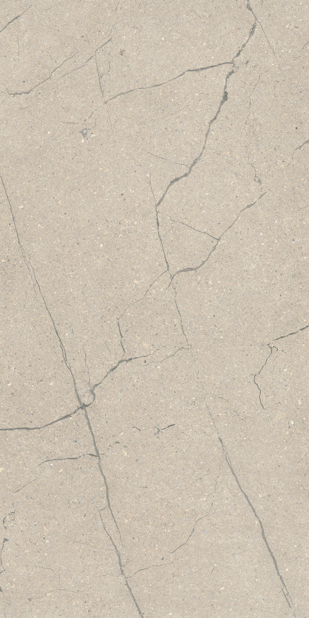 Crossville Sociale 24" x 48" Porcelain Tile