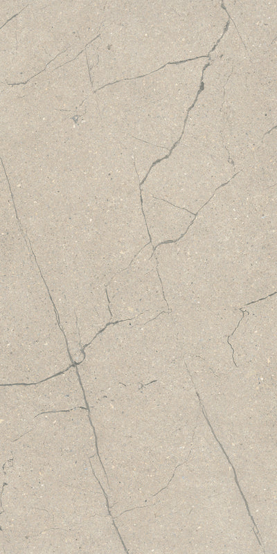 Crossville Sociale 24" x 48" Porcelain Tile