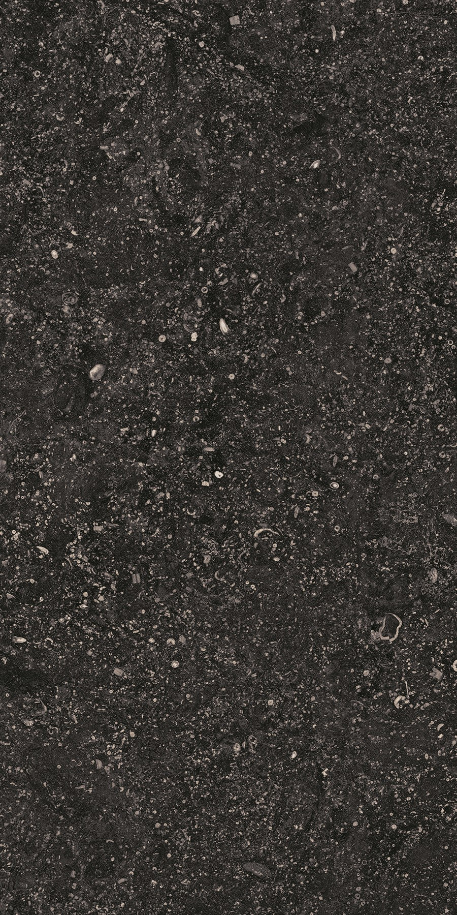 Crossville Beljn 12" x 24" Porcelain Tile