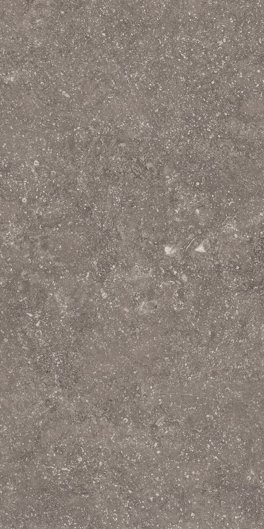 Crossville Beljn 12" x 24" Porcelain Tile