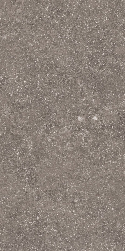 Crossville Beljn 12" x 24" Porcelain Tile