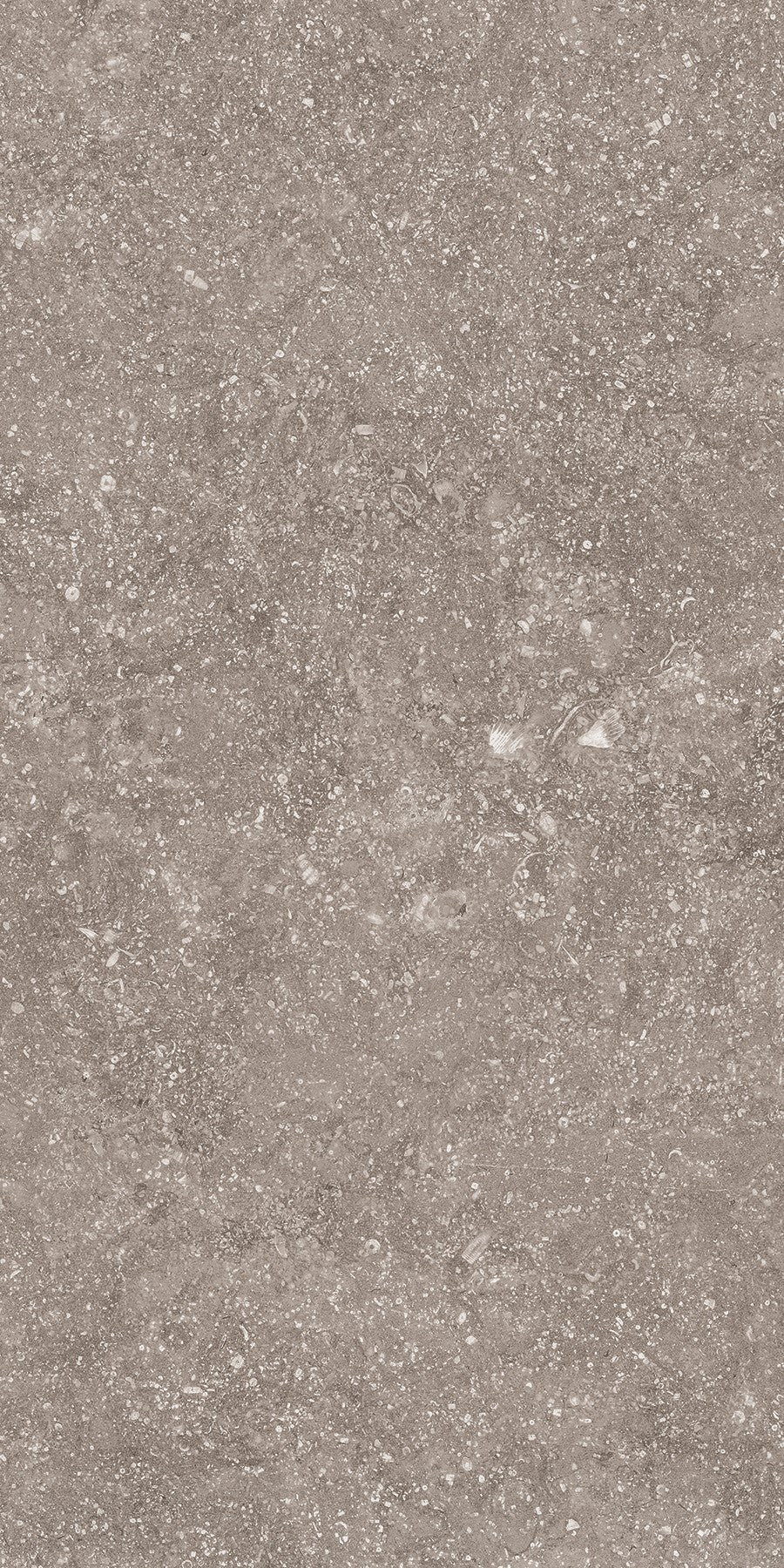 Crossville Beljn 12" x 24" Porcelain Tile