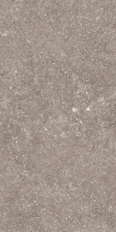 Crossville Beljn 12" x 24" Porcelain Tile